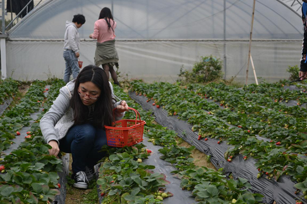 sunbet申搏举办三月员工生日活动