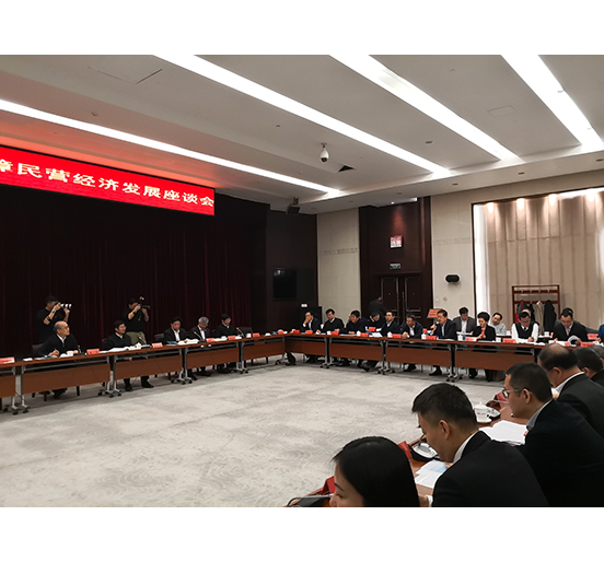 全国人大代表、sunbet申搏董事长熊建明参加检察机关服务保障民营经济发展调研座谈会